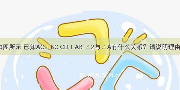 如图所示 已知AC⊥BC CD⊥AB ∠2与∠A有什么关系？请说明理由．