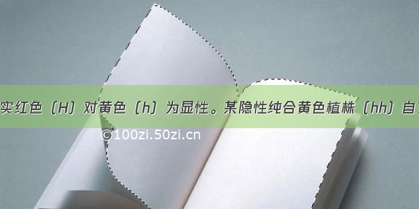 单选题番茄果实红色（H）对黄色（h）为显性。某隐性纯合黄色植株（hh）自交 结出了半边