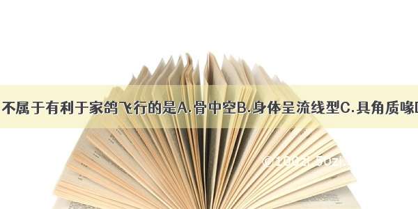 下列特点中 不属于有利于家鸽飞行的是A.骨中空B.身体呈流线型C.具角质喙D.直肠很短 