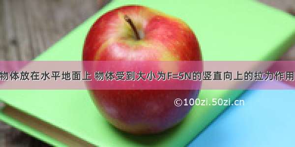 重为30N的物体放在水平地面上 物体受到大小为F=5N的竖直向上的拉力作用 则物体受到