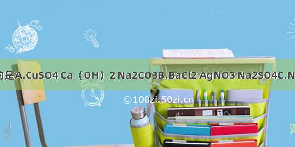 下列物质能共存于同一溶液中的是A.CuSO4 Ca（OH）2 Na2CO3B.BaCl2 AgNO3 Na2SO4C.Na2CO3 KOH H2SO4D.KNO3 N