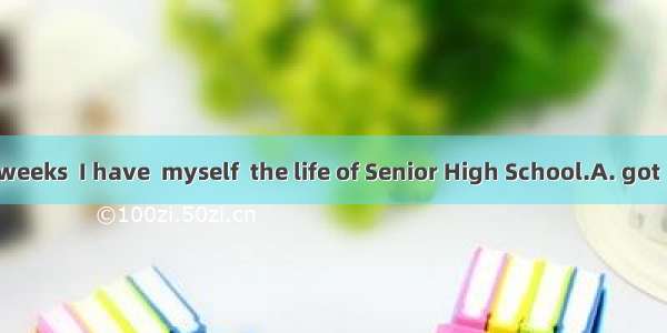 After several weeks  I have  myself  the life of Senior High School.A. got  used toB. ado