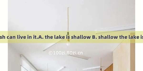 So  that no fish can live in it.A. the lake is shallow B. shallow the lake isC. shallow is