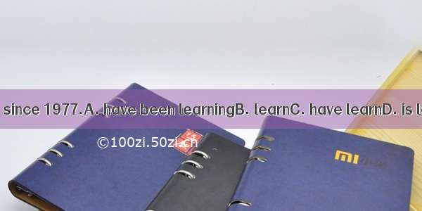 I  Japanese since 1977.A. have been learningB. learnC. have learnD. is learning