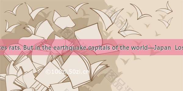 Everybody hates rats. But in the earthquake capitals of the world—Japan  Los Angeles  Turk