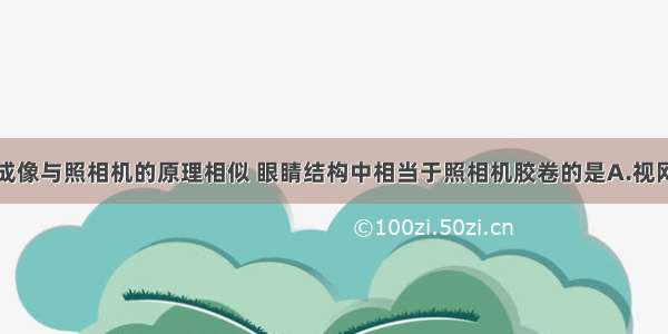 物体在眼中成像与照相机的原理相似 眼睛结构中相当于照相机胶卷的是A.视网膜B.角膜C.