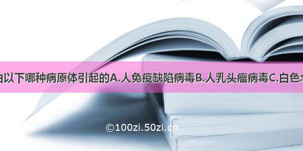 尖锐湿疣是由以下哪种病原体引起的A.人免疫缺陷病毒B.人乳头瘤病毒C.白色念珠菌D.水痘