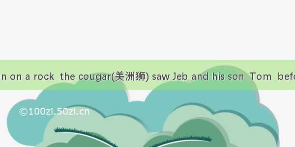 Lying in the sun on a rock  the cougar(美洲狮) saw Jeb and his son  Tom  before they saw it.