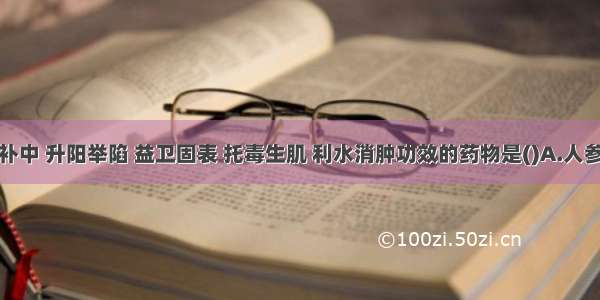 具有健脾补中 升阳举陷 益卫固表 托毒生肌 利水消肿功效的药物是()A.人参B.西洋参