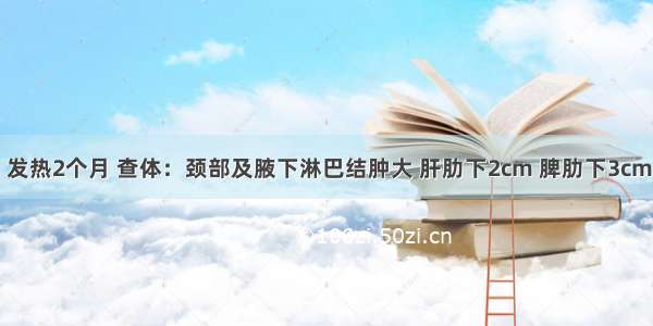 男 18岁。发热2个月 查体：颈部及腋下淋巴结肿大 肝肋下2cm 脾肋下3cm 皮肤出血