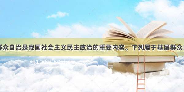 单选题基层群众自治是我国社会主义民主政治的重要内容。下列属于基层群众自治组织的是