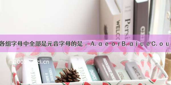 下列各组字母中全部是元音字母的是 。A. a  e  o  r B. a  i  u  e C. o  u  e  n