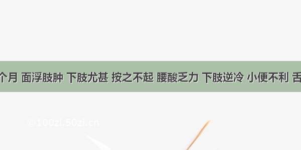 妊娠5个月 面浮肢肿 下肢尤甚 按之不起 腰酸乏力 下肢逆冷 小便不利 舌淡苔白