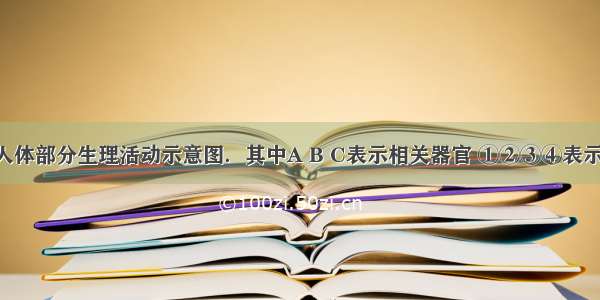 如图表示人体部分生理活动示意图．其中A B C表示相关器官 ①②③④表示生理过程 