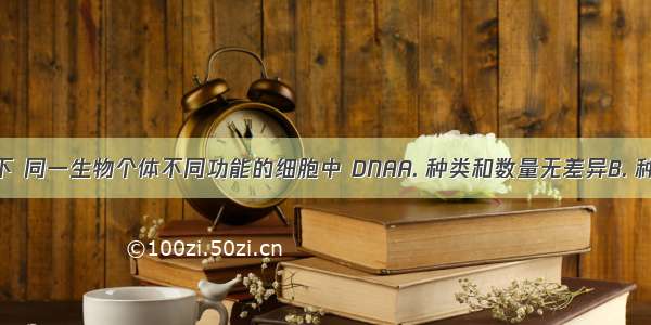 一般情况下 同一生物个体不同功能的细胞中 DNAA. 种类和数量无差异B. 种类和数量