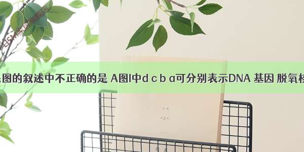 下列有关图的叙述中不正确的是 A图I中d c b a可分别表示DNA 基因 脱氧核苷酸和