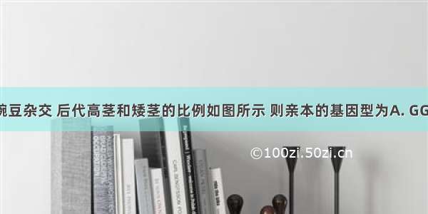 两株高茎豌豆杂交 后代高茎和矮茎的比例如图所示 则亲本的基因型为A. GG×ggB. GG