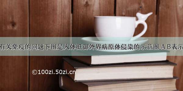 回答下列有关免疫的问题下图是人体抵御外界病原体侵染的示意图 A B表示器官 b c 