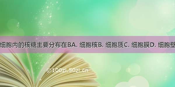 细胞内的核糖主要分布在BA. 细胞核B. 细胞质C. 细胞膜D. 细胞壁