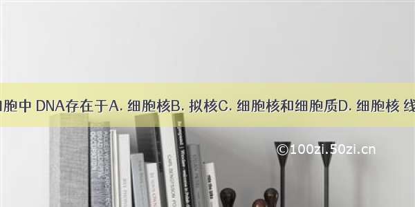 在金鱼藻叶细胞中 DNA存在于A. 细胞核B. 拟核C. 细胞核和细胞质D. 细胞核 线粒体 叶绿体