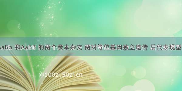 基因型为AaBb 和AaBB 的两个亲本杂交 两对等位基因独立遗传 后代表现型的比例是()