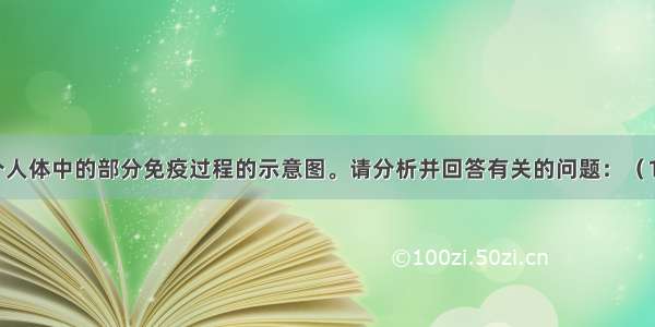 下图表示某个人体中的部分免疫过程的示意图。请分析并回答有关的问题：（1）不同的B淋