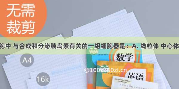 在胰岛细胞中 与合成和分泌胰岛素有关的一组细胞器是：A. 线粒体 中心体 高尔基体