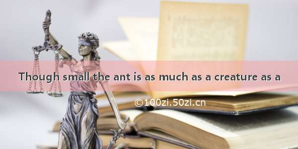 Though small the ant is as much as a creature as a