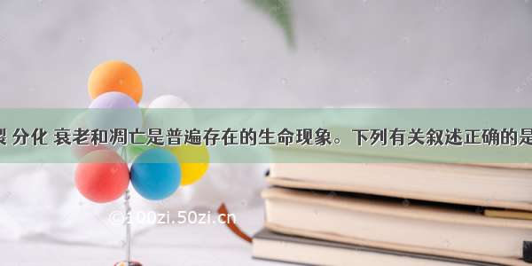 细胞的分裂 分化 衰老和凋亡是普遍存在的生命现象。下列有关叙述正确的是A. 个体发