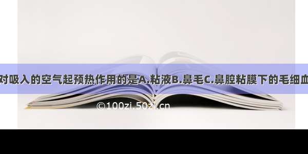 单选题对吸入的空气起预热作用的是A.粘液B.鼻毛C.鼻腔粘膜下的毛细血管D.咽