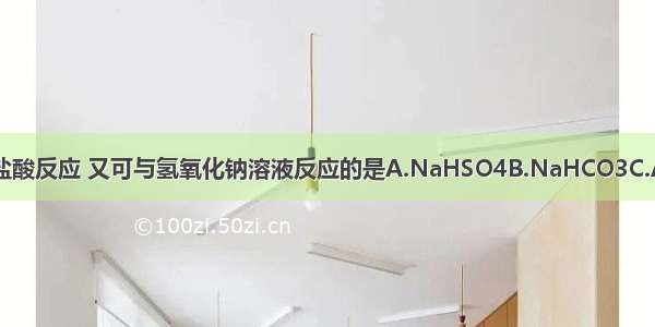 下列物质中 既可与盐酸反应 又可与氢氧化钠溶液反应的是A.NaHSO4B.NaHCO3C.Al(OH)3D.Na2SO3