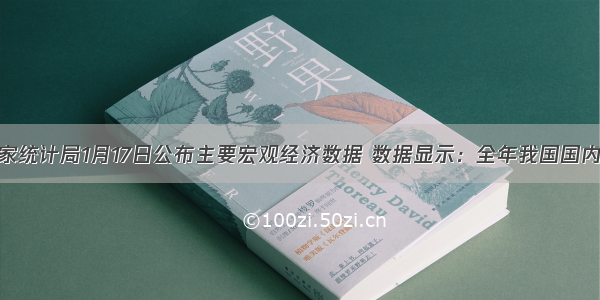 国家统计局1月17日公布主要宏观经济数据 数据显示：全年我国国内生