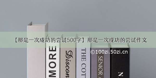 【那是一次成功的尝试500字】那是一次成功的尝试作文