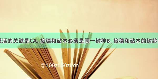 嫁接能否成活的关键是CA. 接穗和砧木必须是同一树种B. 接穗和砧木的树龄必须相同C.