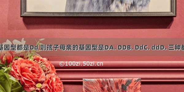 父子的基因型都是Dd 则孩子母亲的基因型是DA. DDB. DdC. ddD. 三种都有可能
