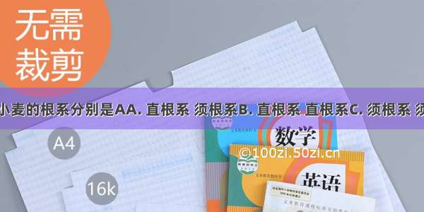 大豆和小麦的根系分别是AA. 直根系 须根系B. 直根系 直根系C. 须根系 须根系D.