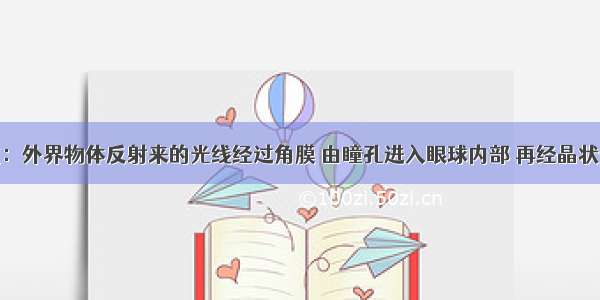 视觉的形成：外界物体反射来的光线经过角膜 由瞳孔进入眼球内部 再经晶状体和玻璃体