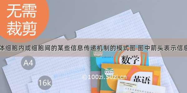 如图表示人体细胞内或细胞间的某些信息传递机制的模式图 图中箭头表示信息传递的方向