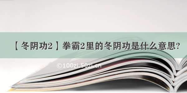 【冬阴功2】拳霸2里的冬阴功是什么意思?