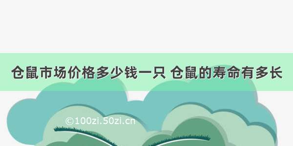 仓鼠市场价格多少钱一只 仓鼠的寿命有多长