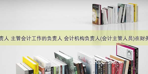 单位负责人 主管会计工作的负责人 会计机构负责人(会计主管人员)在财务会计报