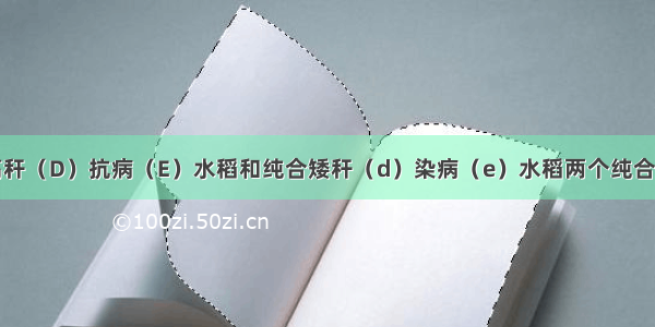 单选题纯合高秆（D）抗病（E）水稻和纯合矮秆（d）染病（e）水稻两个纯合子作亲本杂交