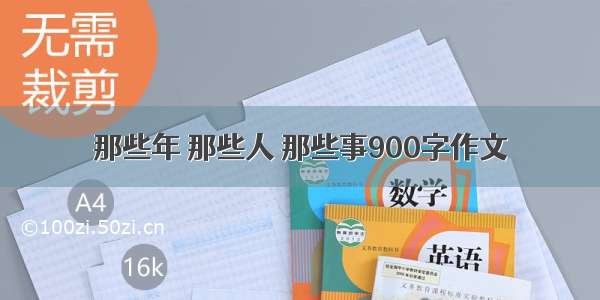 那些年 那些人 那些事900字作文