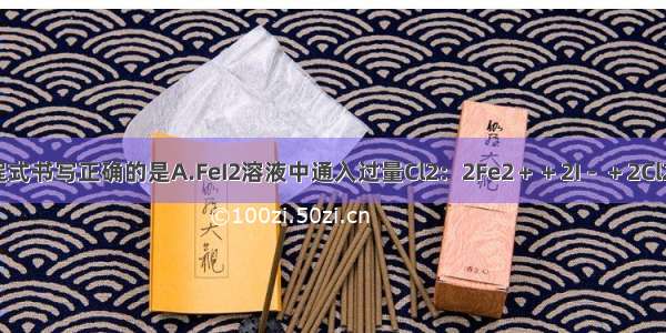 下列离子方程式书写正确的是A.FeI2溶液中通入过量Cl2：2Fe2＋＋2I－＋2Cl2＝2Fe3＋＋I