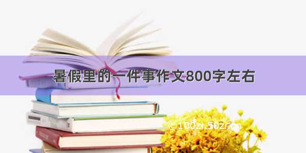 暑假里的一件事作文800字左右