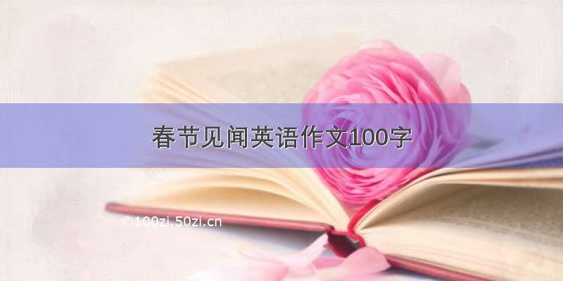 春节见闻英语作文100字