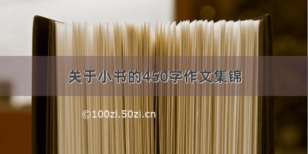 关于小书的450字作文集锦