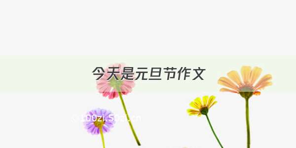 今天是元旦节作文