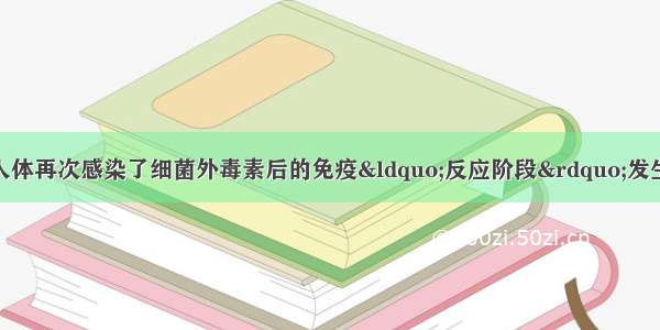 单选题以下可以在人体再次感染了细菌外毒素后的免疫“反应阶段”发生的是A.吞噬细胞吞