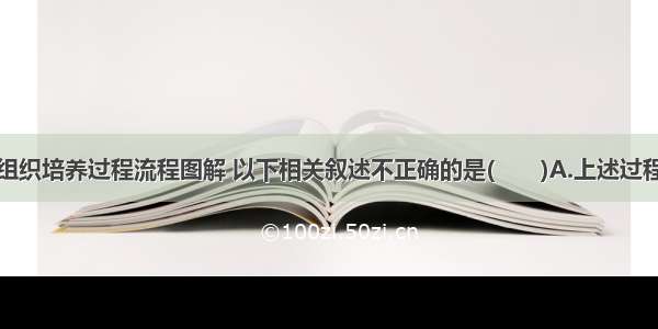 下面为植物组织培养过程流程图解 以下相关叙述不正确的是(　　)A.上述过程中脱分化发